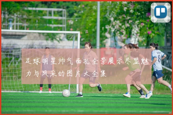 足球明星帅气面孔全景展示尽显魅力与风采的图片大全集