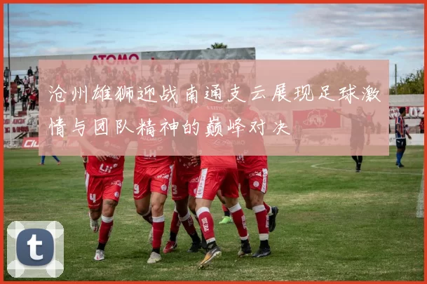 沧州雄狮迎战南通支云展现足球激情与团队精神的巅峰对决