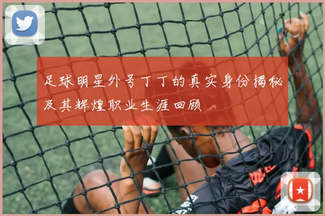 足球明星外号丁丁的真实身份揭秘及其辉煌职业生涯回顾