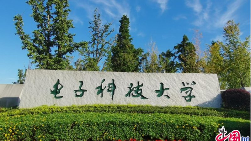 办公电子产品清单安装服务：从选型到部署的全方位解析**